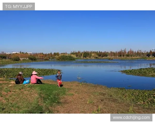 围绕力量之戒豆瓣热议深入回望奇幻史诗剧集塑造永恒魅力