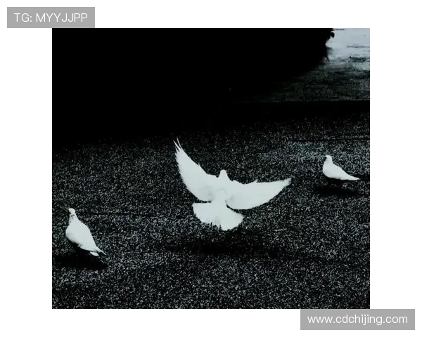 寻觅真实:一场关于心灵的温柔探索