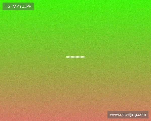 石川施惠恩：匠心传承，温润万家